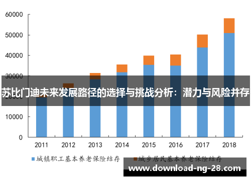 苏比门迪未来发展路径的选择与挑战分析:潜力与风险并存 苏比门迪未来发展路径的选择与挑战分析:潜力与风险并存