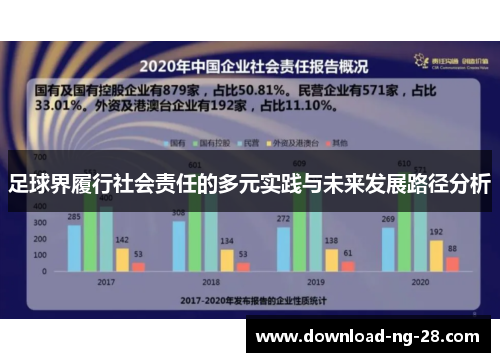 足球界履行社会责任的多元实践与未来发展路径分析